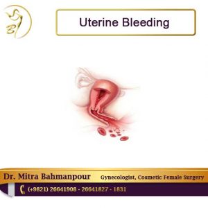 uterine bleeding